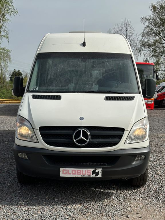 Микроавтобус, Пассажирский фургон Mercedes-Benz Sprinter 316 CDi  (516 CDi, Klima): фото 8