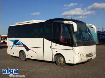 MAN Dexon S 1, Staco, 12.240, 23 Sitze, Euro 4  - Туристический автобус