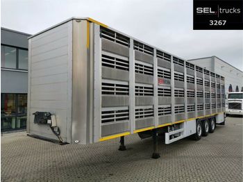 Pezzaioli CIMC / SR03 / 4 Stock / Typ 2 / Ferkeltransporte  - Полуприцеп для перевозки животных