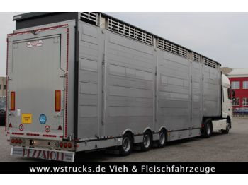 Pezzaioli SBA31-SR  3 Stock "Neu" Vermietung  - Полуприцеп для перевозки животных