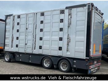 Menke 5 Stock Unfall  Hubdach  Vollalu Typ 2  - Прицеп для перевозки животных