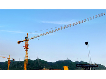 Башенный кран XCMG official mini topkit tower crane XGA6515-8S 65m jib length tower crane manufactures