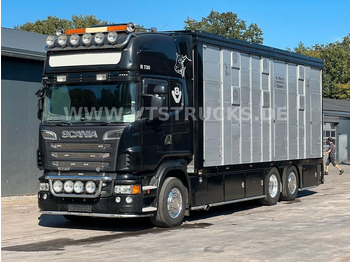Scania R730 V8 6x2 2.Stock Stehmann + Hubdach, Vollluft  - Грузовик для перевозки животных: фото 1