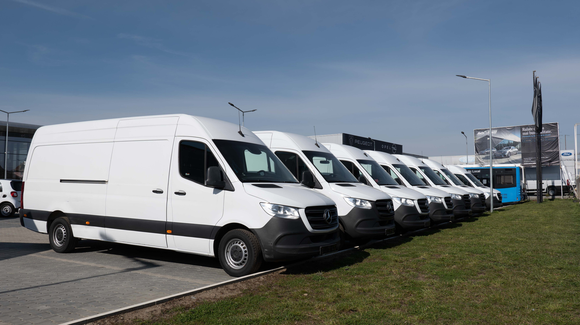 AUTO SCHUNN SRL undefined: фото 9