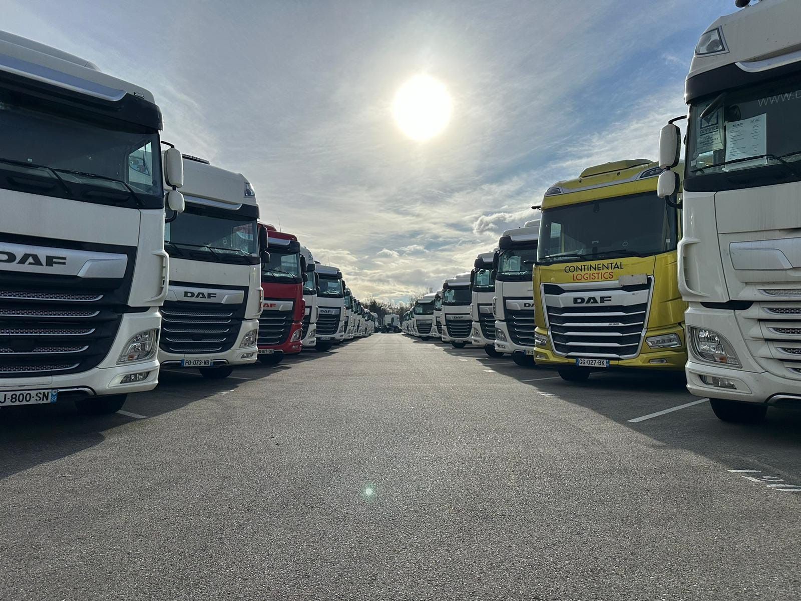 Texas Truck Logistic - Тягачи undefined: фото 1