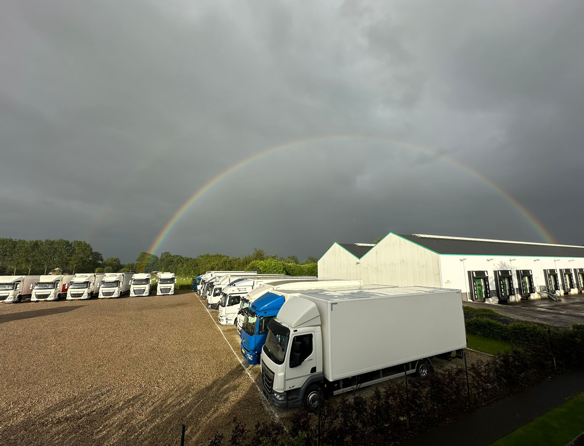 HANDELSONDERNEMING MARTIN VOS V.O.F. undefined: фото 2