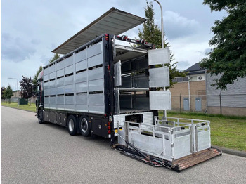 DAF XF 460 2017 berdex 3 lagen varkens в лизинг DAF XF 460 2017 berdex 3 lagen varkens: фото 4