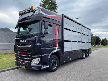 DAF XF 460 2017 berdex 3 lagen varkens в лизинг DAF XF 460 2017 berdex 3 lagen varkens: фото 1