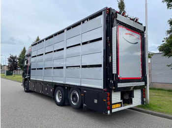 DAF XF 460 2017 berdex 3 lagen varkens в лизинг DAF XF 460 2017 berdex 3 lagen varkens: фото 2
