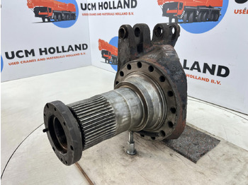 Поворотный кулак GROVE