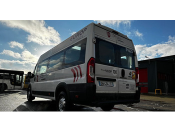 Fiat Ducato / 17 miejsc / EURO 6/ IGŁA !!!/ Cena:75000 zł netto в лизинг Fiat Ducato / 17 miejsc / EURO 6/ IGŁA !!!/ Cena:75000 zł netto: фото 4