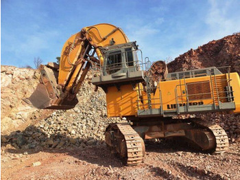 Гусеничный экскаватор LIEBHERR
