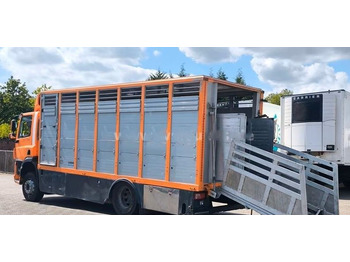 Грузовик для перевозки животных DAF CF 400 Menke Einstock | Transport zwierząt jednopoziomowy | 2 kratownice do bydła| Retarder | Euro 6: фото 4 Грузовик для перевозки животных DAF CF 400 Menke Einstock | Transport zwierząt jednopoziomowy | 2 kratownice do bydła| Retarder | Euro 6: фото 4