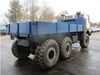 Грузовик бортовой/ Платформа Mercedes-Benz FAP 2026 BS/AV , V8 , ZF Manual , 6x6 , Spring suspension: фото 3