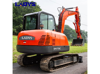 Новый Гусеничный экскаватор LADYS DY75C Small Excavator Euro 5/Epa Yanmar Engine Small Excavator Crawler Excavator For Sale: фото 3