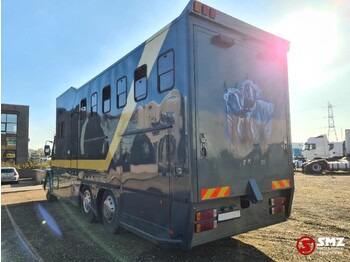 Коневоз Scania 113 paarden/mobilhome: фото 3
