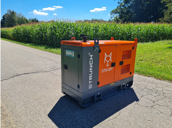 Электрогенератор Staunch GTS-20Y: фото 3