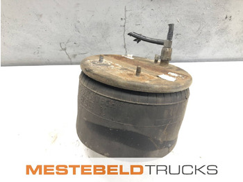 Подвеска DAF