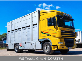 DAF XF410 Menke Doppelstock в лизинг DAF XF410 Menke Doppelstock: фото 3