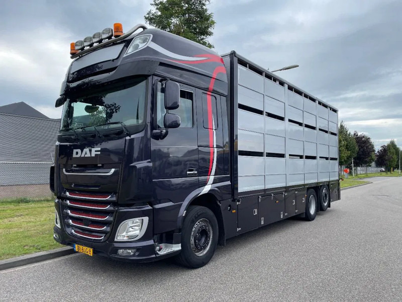 DAF XF 460 2017 berdex 3 lagen varkens - Грузовик для перевозки животных: фото 1 DAF XF 460 2017 berdex 3 lagen varkens - Грузовик для перевозки животных: фото 1
