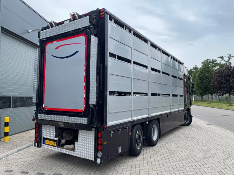 DAF XF 460 2017 berdex 3 lagen varkens в лизинг DAF XF 460 2017 berdex 3 lagen varkens: фото 8