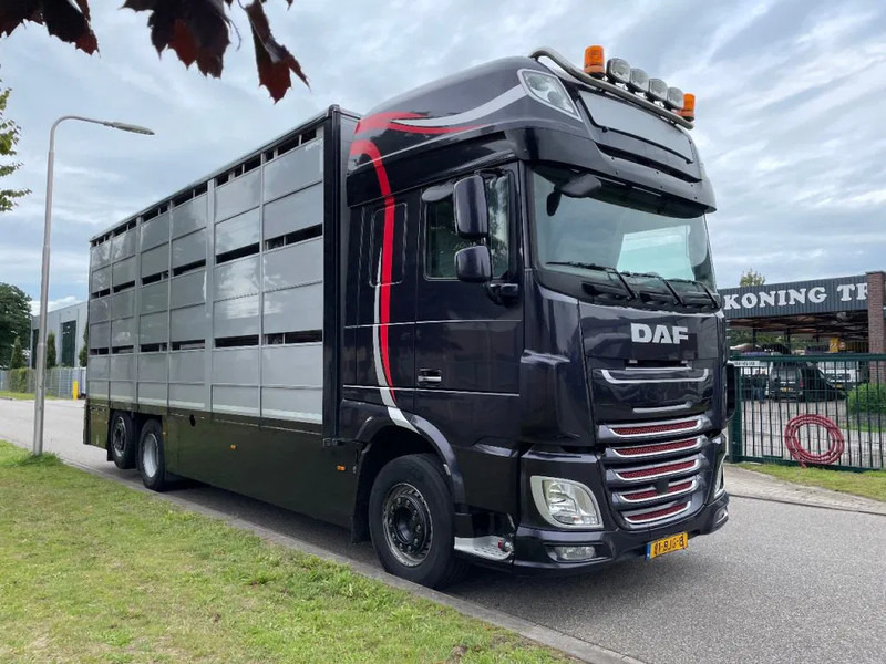 DAF XF 460 2017 berdex 3 lagen varkens в лизинг DAF XF 460 2017 berdex 3 lagen varkens: фото 19