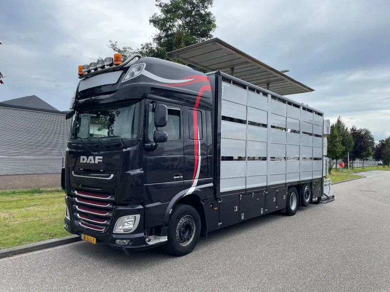 DAF XF 460 2017 berdex 3 lagen varkens в лизинг DAF XF 460 2017 berdex 3 lagen varkens: фото 13