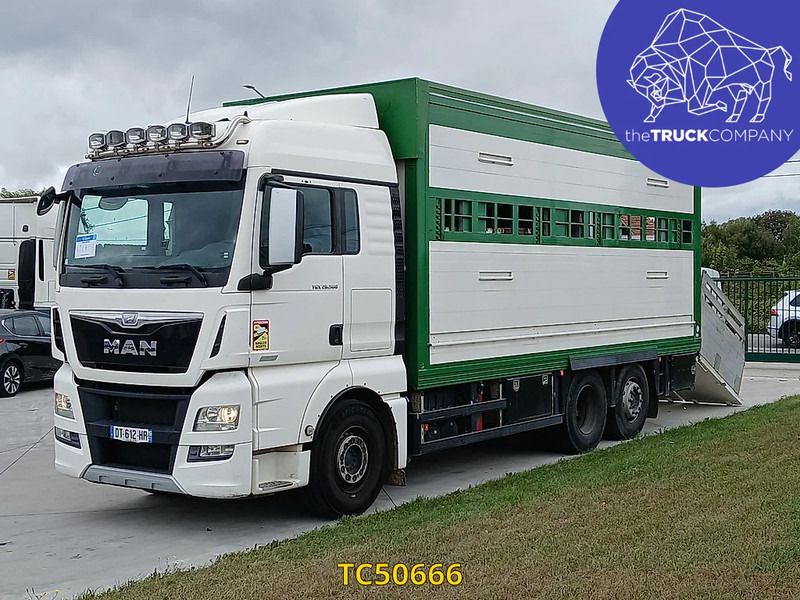 MAN TGX 460 - Грузовик для перевозки животных: фото 1 MAN TGX 460 - Грузовик для перевозки животных: фото 1