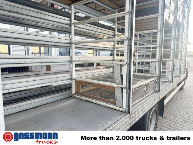 Mercedes-Benz LK 817 4x2, Taubentransporter - Грузовик с закрытым кузовом: фото 2 Mercedes-Benz LK 817 4x2, Taubentransporter - Грузовик с закрытым кузовом: фото 2