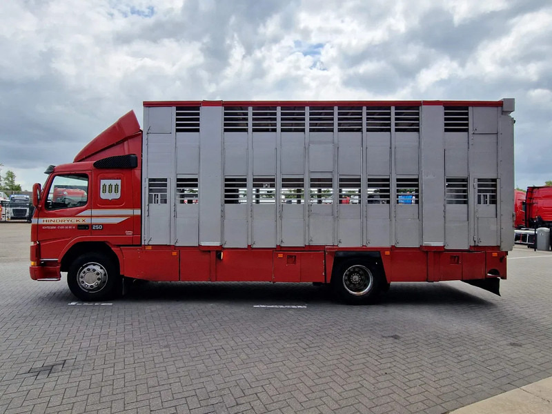 Volvo FM 250 4x- Livestock 2 deck - Lifting floors - Loadlift - Manual gearbox - Грузовик для перевозки животных: фото 4 Volvo FM 250 4x- Livestock 2 deck - Lifting floors - Loadlift - Manual gearbox - Грузовик для перевозки животных: фото 4