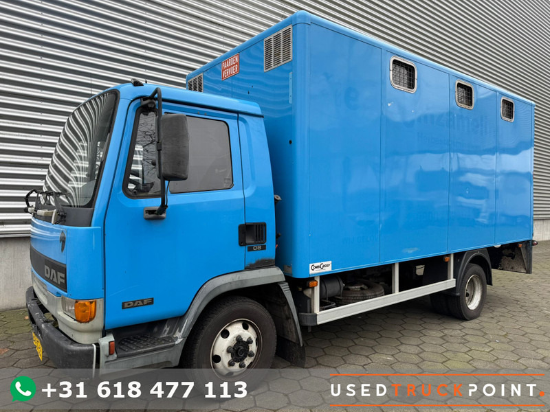 DAF LF45.130 / Horse Truck / 6 Cilinder / Manual Gearbox / Euro 2 / NL Trucks - Грузовик для перевозки животных: фото 1 DAF LF45.130 / Horse Truck / 6 Cilinder / Manual Gearbox / Euro 2 / NL Trucks - Грузовик для перевозки животных: фото 1