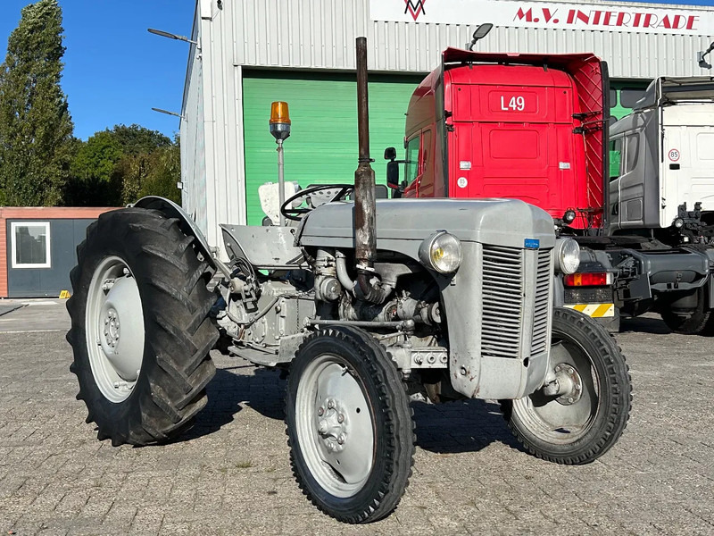Diversen FERGUSON tractor - Трактор: фото 2 Diversen FERGUSON tractor - Трактор: фото 2