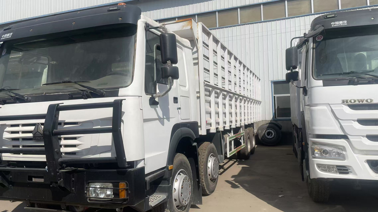 SINOTRUK HOWO 8*4 DUMP TRUCK 371 375 380 420 HP - Грузовик для перевозки животных: фото 2 SINOTRUK HOWO 8*4 DUMP TRUCK 371 375 380 420 HP - Грузовик для перевозки животных: фото 2