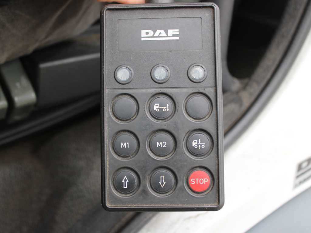 Рефрижератор DAF FA LF 45.220 G12, CARRIER XARIOS 600, TAIL LIFT: фото 10