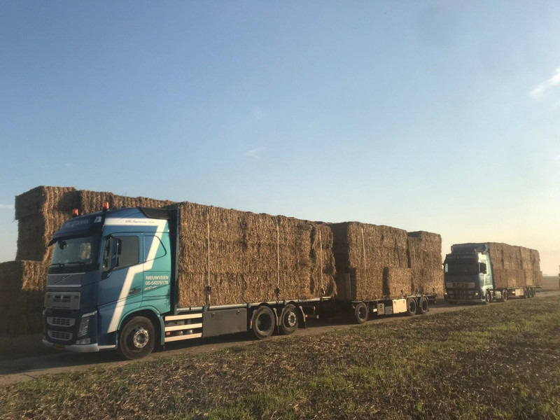 Volvo FH460, HMF 1244 Skip loading platform - Автоманипулятор: фото 5 Volvo FH460, HMF 1244 Skip loading platform - Автоманипулятор: фото 5