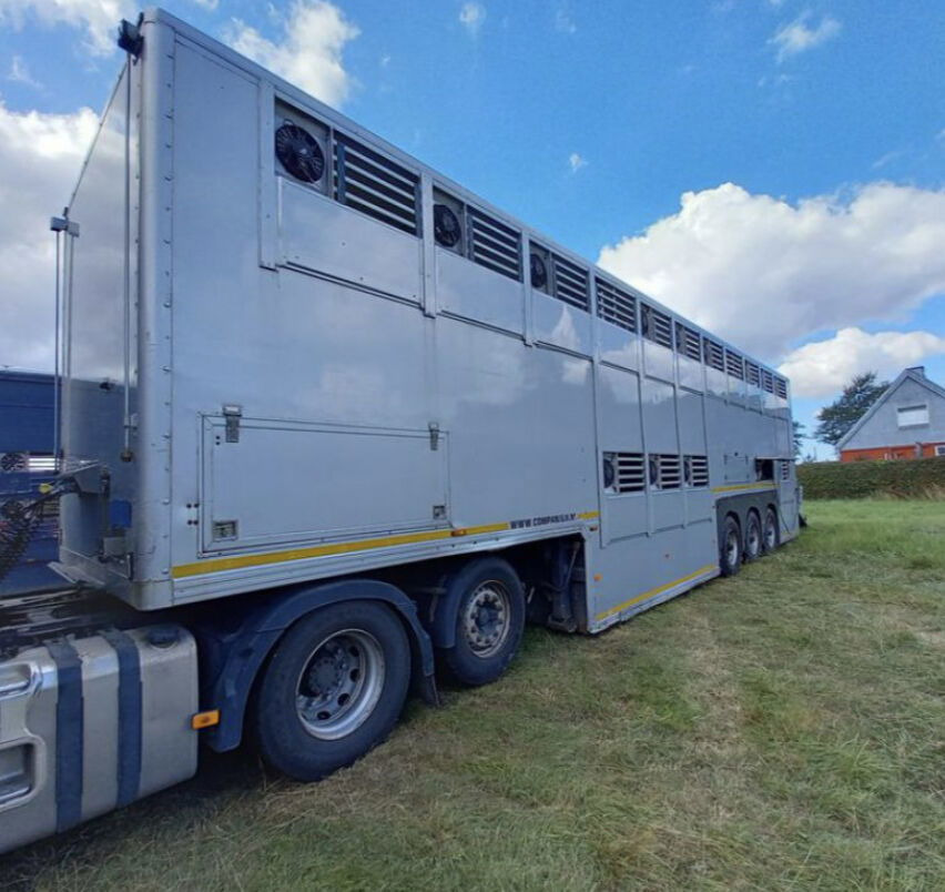 Gray and Adams Gadd3 / Works Great / Hydraulic / 2 Levels - Полуприцеп для перевозки животных: фото 5 Gray and Adams Gadd3 / Works Great / Hydraulic / 2 Levels - Полуприцеп для перевозки животных: фото 5