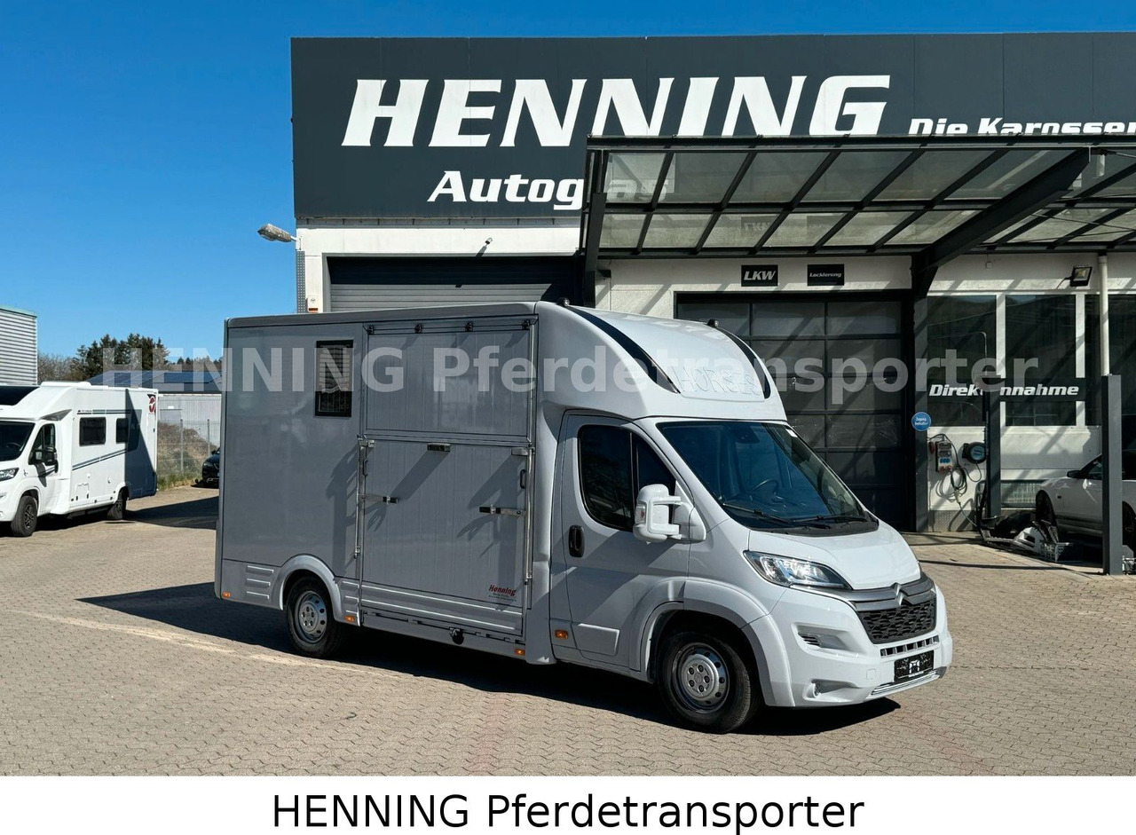 Citroën Jumper 3 - Sitzer *AUFBAU NEU* - Коневоз: фото 1 Citroën Jumper 3 - Sitzer *AUFBAU NEU* - Коневоз: фото 1
