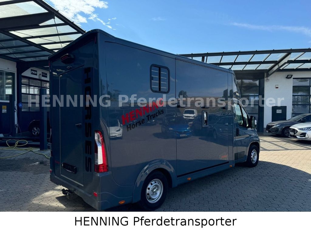 Opel Movano 3 - Sitzer *AUFBAU NEU* - Коневоз: фото 2 Opel Movano 3 - Sitzer *AUFBAU NEU* - Коневоз: фото 2