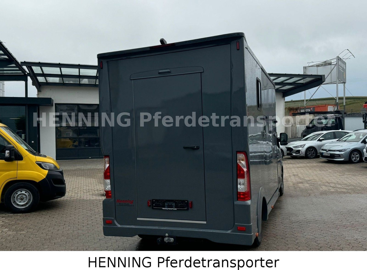Renault Master 3 - Sitzer *NEUES MODELL* - Грузовик для перевозки животных: фото 3 Renault Master 3 - Sitzer *NEUES MODELL* - Грузовик для перевозки животных: фото 3