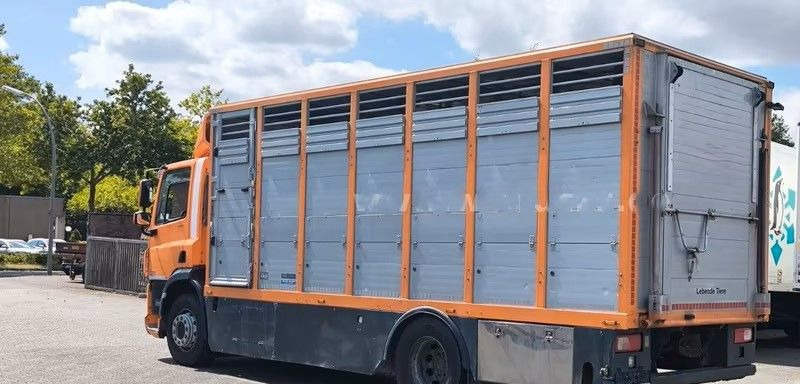 Грузовик для перевозки животных DAF CF 400 Menke Einstock | Transport zwierząt jednopoziomowy | 2 kratownice do bydła| Retarder | Euro 6: фото 7 Грузовик для перевозки животных DAF CF 400 Menke Einstock | Transport zwierząt jednopoziomowy | 2 kratownice do bydła| Retarder | Euro 6: фото 7