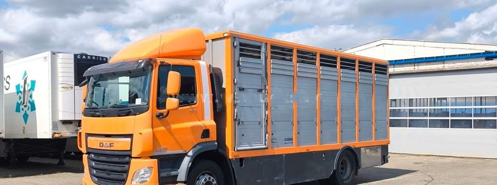 Грузовик для перевозки животных DAF CF 400 Menke Einstock | Transport zwierząt jednopoziomowy | 2 kratownice do bydła| Retarder | Euro 6: фото 8 Грузовик для перевозки животных DAF CF 400 Menke Einstock | Transport zwierząt jednopoziomowy | 2 kratownice do bydła| Retarder | Euro 6: фото 8