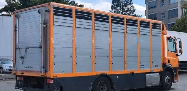 Грузовик для перевозки животных DAF CF 400 Menke Einstock | Transport zwierząt jednopoziomowy | 2 kratownice do bydła| Retarder | Euro 6: фото 6 Грузовик для перевозки животных DAF CF 400 Menke Einstock | Transport zwierząt jednopoziomowy | 2 kratownice do bydła| Retarder | Euro 6: фото 6