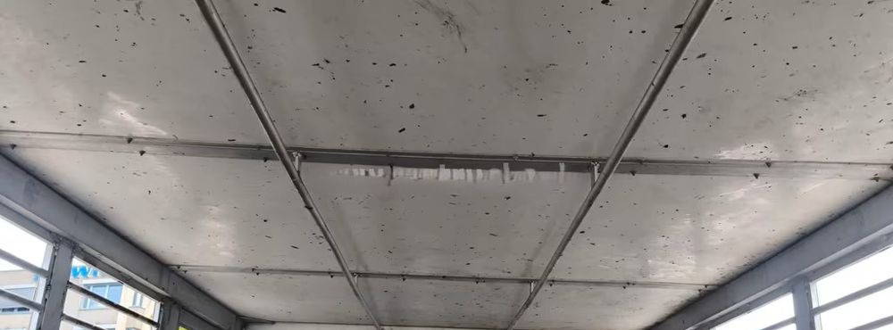 Грузовик для перевозки животных DAF CF 400 Menke Einstock | Transport zwierząt jednopoziomowy | 2 kratownice do bydła| Retarder | Euro 6: фото 9 Грузовик для перевозки животных DAF CF 400 Menke Einstock | Transport zwierząt jednopoziomowy | 2 kratownice do bydła| Retarder | Euro 6: фото 9