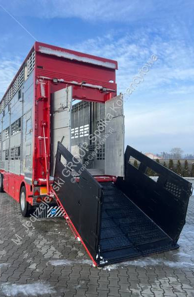 Прицеп для перевозки животных Pezzaioli RBA22 DWUOSIOWA PRZYCZEPA -2X BYDŁO,3X TRZODA: фото 17