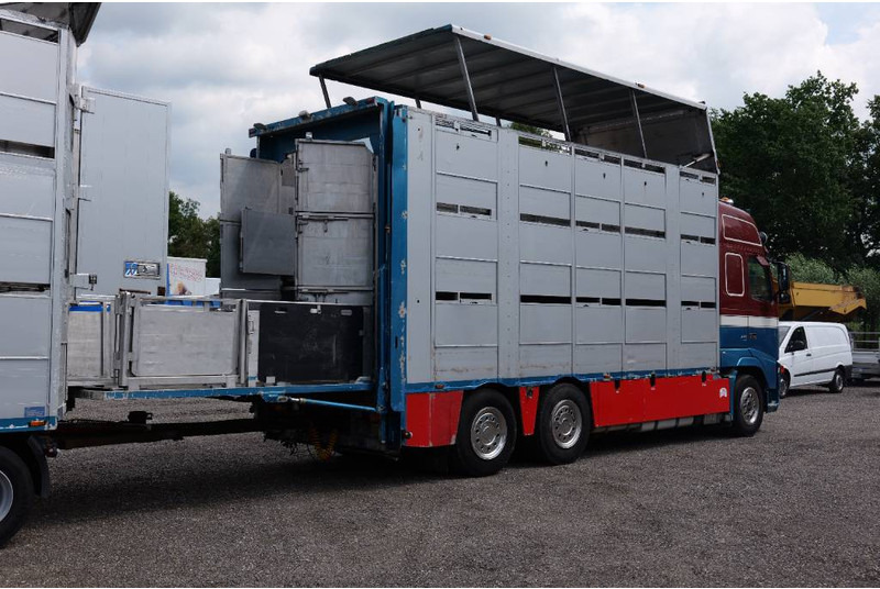 Volvo FH 13 480 6x2 3 stock livestock transport Cuppers - Грузовик для перевозки животных: фото 5 Volvo FH 13 480 6x2 3 stock livestock transport Cuppers - Грузовик для перевозки животных: фото 5