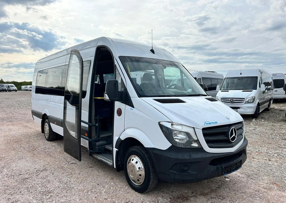 Mercedes-Benz Sprinter 516 - Микроавтобус, Пассажирский фургон: фото 2 Mercedes-Benz Sprinter 516 - Микроавтобус, Пассажирский фургон: фото 2