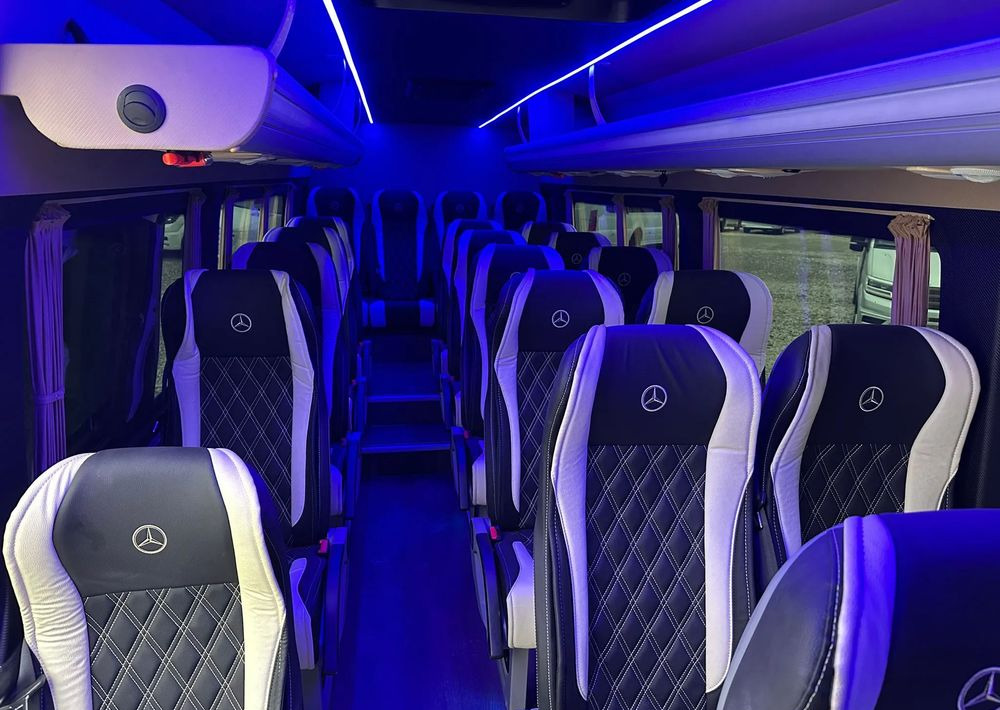 Новый Микроавтобус, Пассажирский фургон Mercedes-Benz Sprinter 519: фото 18