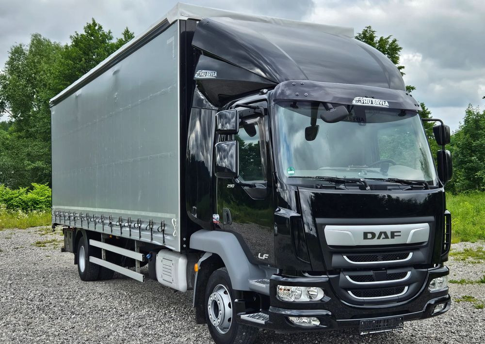 DAF LF 290 / WINDA / 16TON DMC / FIRANKA / AUTOMAT / JEDEN WŁAŚCICIE / EURO 6 / 2019 / SPROWADZONY / 20PALET / NISKI PRZEBIEG / DUŻA ŁADOWNOŚĆ / JAK NOWY - Тентованный грузовик: фото 3 DAF LF 290 / WINDA / 16TON DMC / FIRANKA / AUTOMAT / JEDEN WŁAŚCICIE / EURO 6 / 2019 / SPROWADZONY / 20PALET / NISKI PRZEBIEG / DUŻA ŁADOWNOŚĆ / JAK NOWY - Тентованный грузовик: фото 3