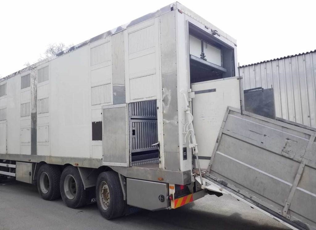 MAN TGX 35.540 8X4 TRIDEM ANIMAL - Грузовик для перевозки животных: фото 5 MAN TGX 35.540 8X4 TRIDEM ANIMAL - Грузовик для перевозки животных: фото 5