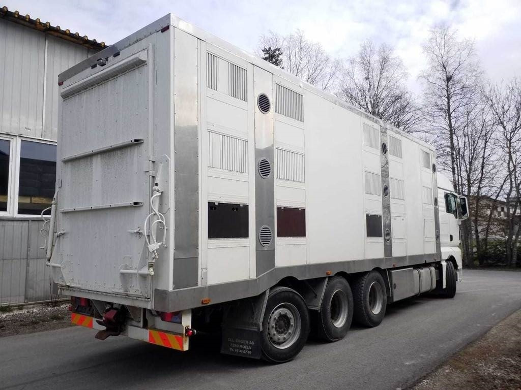 MAN TGX 35.540 8X4 TRIDEM ANIMAL - Грузовик для перевозки животных: фото 3 MAN TGX 35.540 8X4 TRIDEM ANIMAL - Грузовик для перевозки животных: фото 3